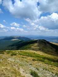 1c8a6167-5a9d-4a47-8023-100817f1140b