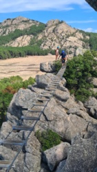 a69da10d-bc13-4094-8b9b-caf09b25333f