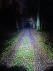 0268191a-9cfb-4010-a287-27420acf3d36