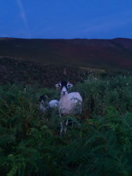 c589ef14-e3e1-4093-abb8-19046b85d2ca