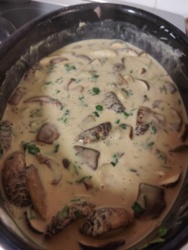 5555049c-fd52-4aad-9311-5cc83c674fb4