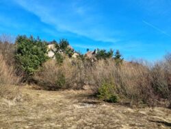 42861b87-c6a3-4613-8af4-f30519409496