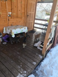 74f5fe96-33ed-4586-a050-6b2af9556ed1