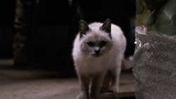 a313a1e7-b098-4a3e-9def-180c2d9f17e2