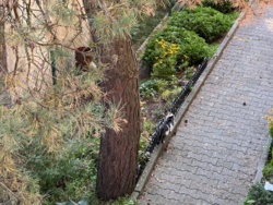 2c4eef9a-57ea-4463-a7c2-6de9d1675972