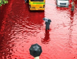 b919e69a-54fe-466e-89b1-4481d89c0d6f