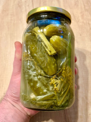 75bacfe3-0510-4c8c-8bff-ac4ad956a384