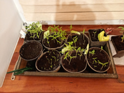 70367383-8fc9-46c2-8d9e-8fd9becbfd95