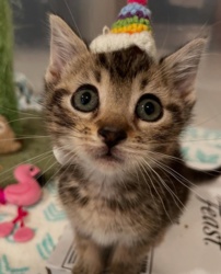 ff03a894-1bf2-4666-b6bb-e974bcab06da