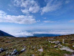 d1039c19-dca9-47c3-aa8a-84ad97fd6772