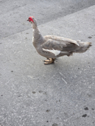 2f3b6297-91bf-4eac-aaa9-0f1cbbbf8f42