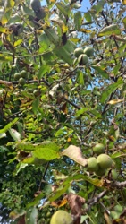 28442496-be0b-403c-b87d-2628530bb974