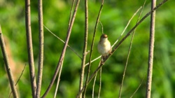 9d2dbb25-2586-4209-a1f8-dc378fd674e3