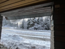 8f92b5dc-d978-4989-822f-a2c3a96ceaca