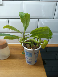 3d1010e5-1edd-4b6e-ab2a-701b41beefc3