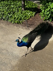 dcc3f5ec-ff95-49bd-b558-92038c805eea