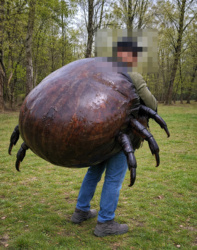 fd44fe09-4496-4f78-8992-1e68e3cb8eeb