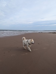 f0326678-3074-46b8-a4d7-b1f08c5622f7