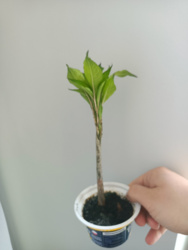 97a6de56-0ebe-4d1e-ae4d-b37b5e0b2b31