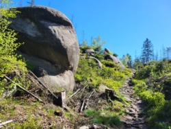 1b6ecc5a-3cd2-4557-bf27-08992d54f2ec