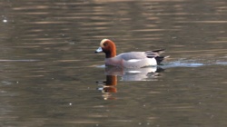 657522ea-eb4b-4f25-8fae-466d65e48bdb