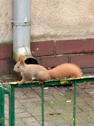 c701ce3a-3b43-4a9c-baf0-5c5d0f309ec1