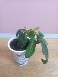 fbdc1947-6c51-4ccc-8898-09f26a1fb300