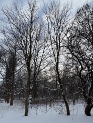 f7640344-d8db-4fbd-b49d-fa69367b1c82