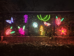 2ffed55a-899d-40fa-9952-006563f2d4b9