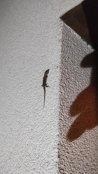 20751d44-3d28-490e-8b12-5a36bdafdf13