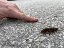 ef8b2f97-434a-454f-aa02-de062bde9a78