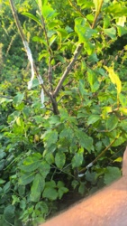 232e7c0f-41a1-4fe5-8d53-36e07b647b0d