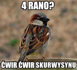 adc93775-5c78-450e-ad34-bd0d36523449