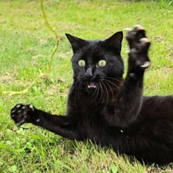 804c3449-f633-4408-9ec3-75fcaa2ddafa