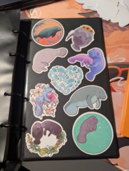 49f3c40f-bb06-4e12-98af-7acfe08727e0