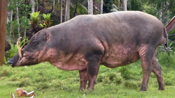 b211f370-4da4-4dde-af29-6b02dbb5b00a