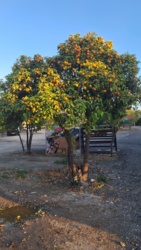 c78cf896-0acb-419d-8755-464fbe1ab9a4