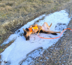 68155443-f5e8-4b8f-a8dd-944ca9b1e693