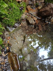 cae5707a-c89a-46c2-bdc5-017f623e4718