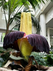 8f8b4f60-491e-446e-a62d-d813d7ded7dc