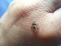 bbe0c7c2-46fb-4ded-a095-a827d1846b61