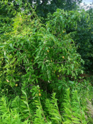 f2b2a2b9-2657-4859-a84a-d960dbbe61bd