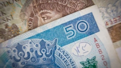 Złoty pod presją. Globalny kapitał ucieka z Polski