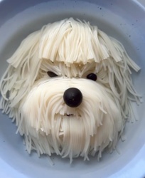 7c4247d6-5c5d-4da3-896d-4a4c848c55fb