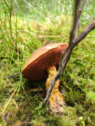 3c952ae2-b6ac-4c71-868d-13b3911b89da