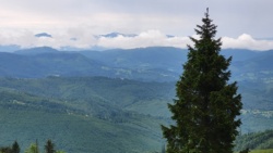 5855a587-2c24-464b-9f52-19f7005610be