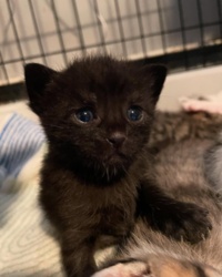 d27ce358-77a3-443c-827b-41823059218a