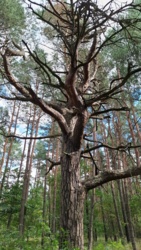 7a32d77c-a183-417f-9580-d039c4f8f340