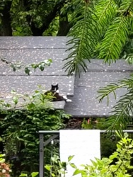 bab6a15a-188d-49b9-83af-5ca15ebb6c34