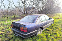 2417b5eb-0004-497a-97cc-5bbefa8186df